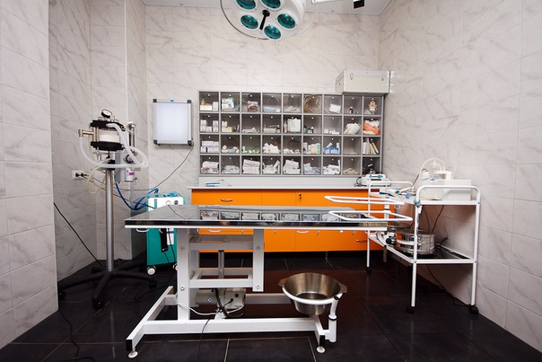 Оборудование в клинике РуВет